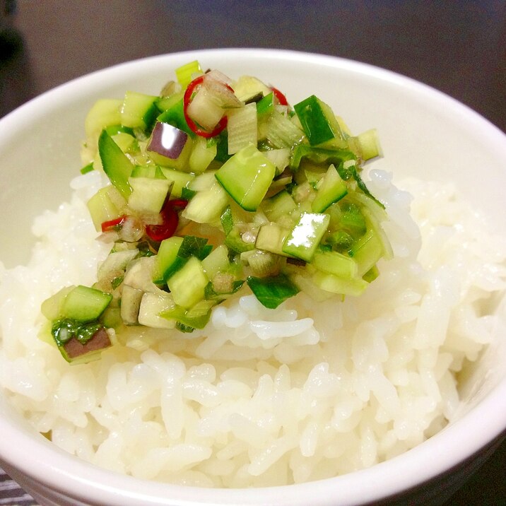 野菜でお米を食べる★山形のだし